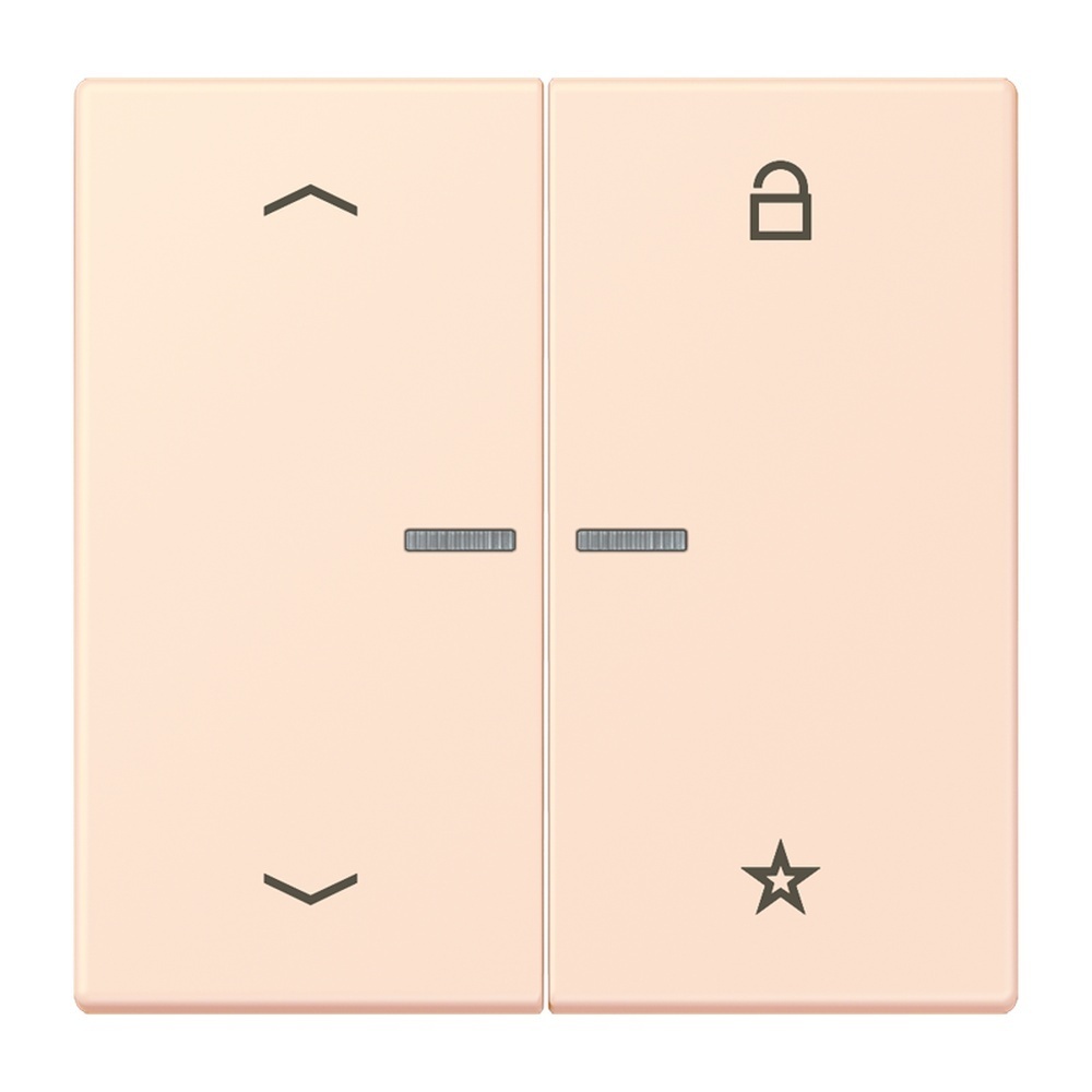 Jung Taster FMLC1701P226