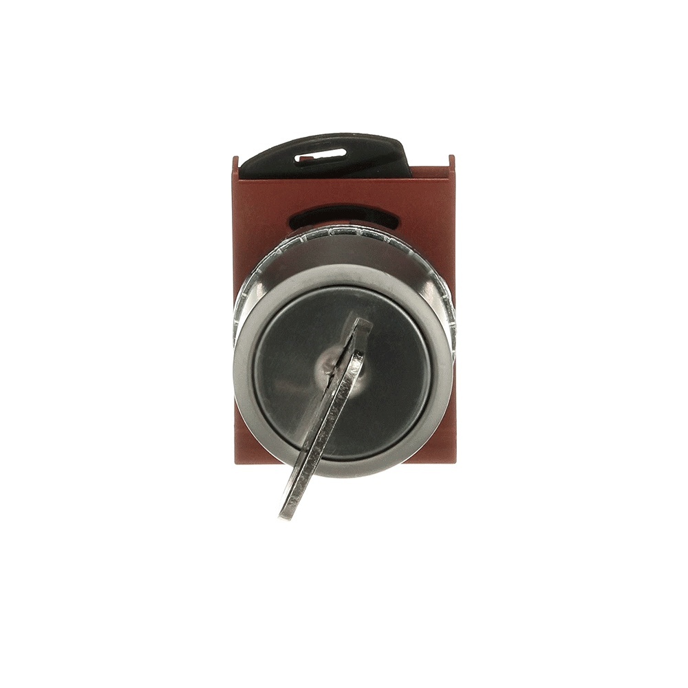 ABB Frontelement für Wahlschalter 1SFA184482R9006 Typ P9MSCX0Z95