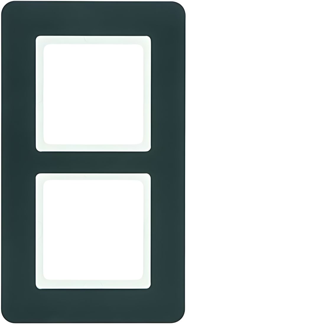 Berker 2fach Rahmen 10126186