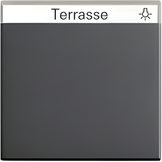 Gira Wippe Beschriftungsfeld  029928