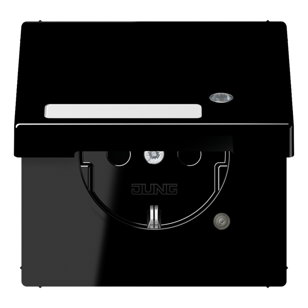 Jung Schutzkontakt Steckdose LS 1520 NAKLKO SW