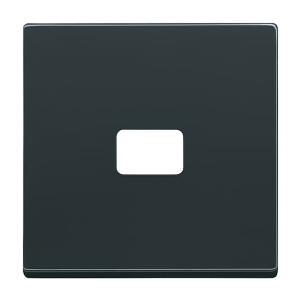 Busch-Jaeger Wippe 1720-81 Nr. 2CKA001731A1914