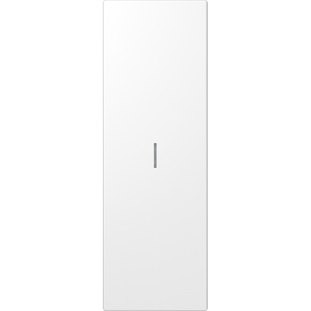 Jung Großflächenwippe ES 2993 KO5 WW