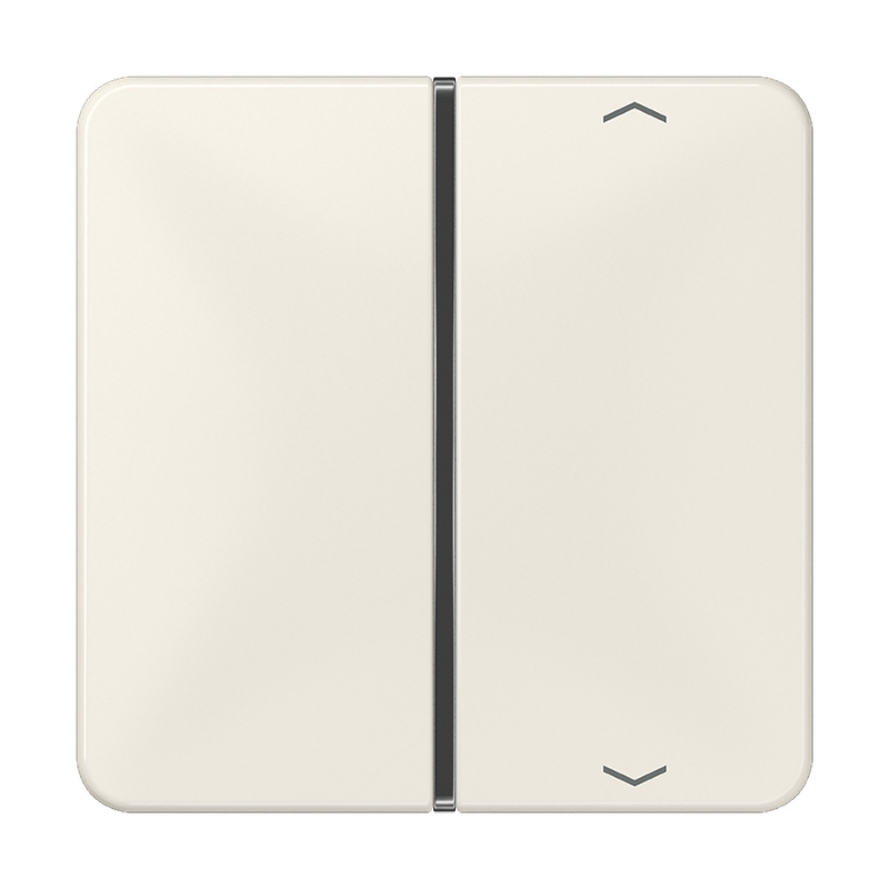 Jung Taste 1fach CD 401 TSAP