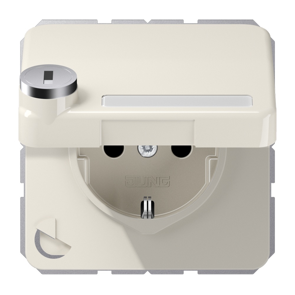 Jung Schutzkontakt Steckdose CD 1520 NAKLSL