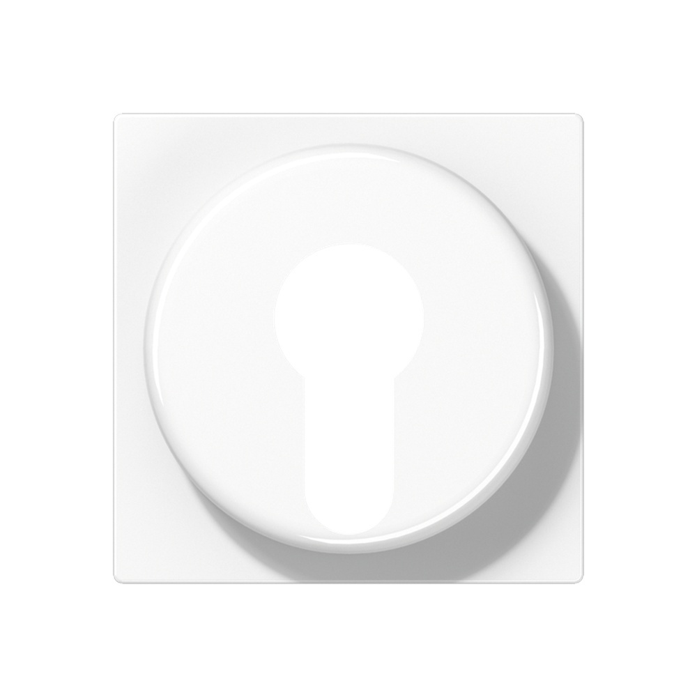 Jung Abdeckung Schlüsselschalter A 528 PL WW