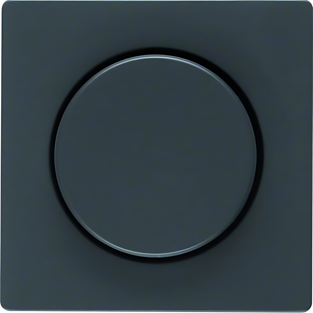 Berker Zentralstück 11376086