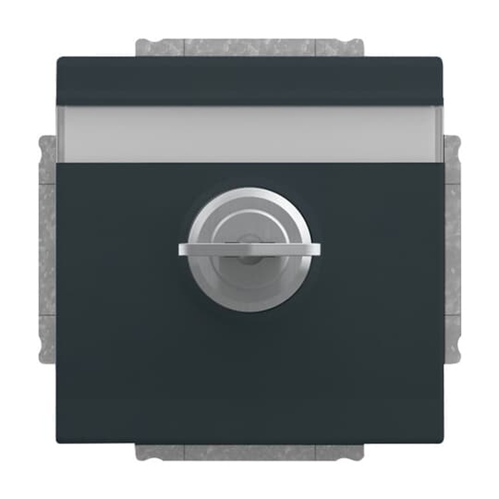 Busch-Jaeger SCHUKO Steckdosen Einsatz 20 EUKNBSL-81-101 Nr. 2CKA002018A1558