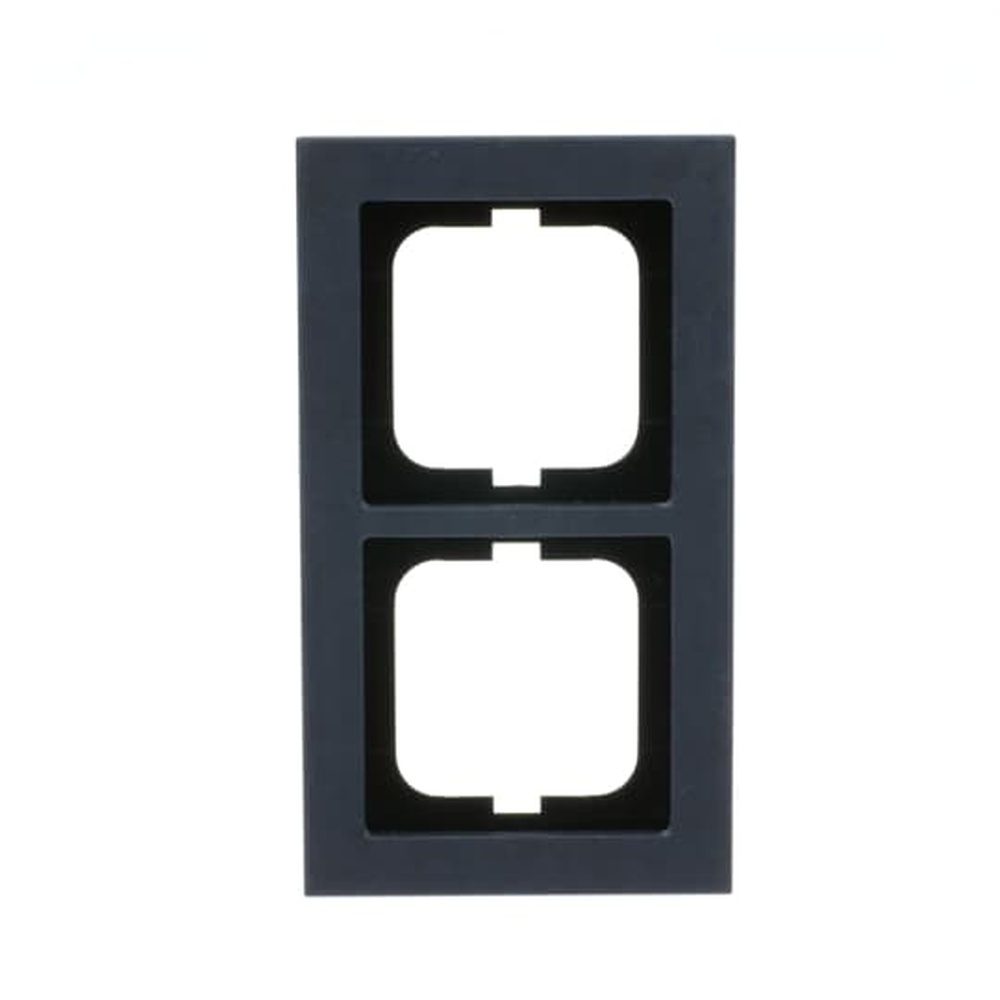 Busch-Jaeger Abdeckrahmen 2fach 1722-248 Nr. 2CKA001754A4786