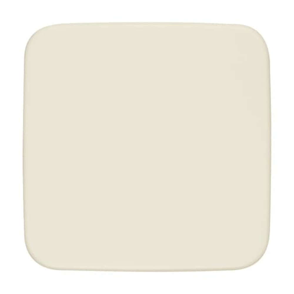 Busch-Jaeger Blindzentralscheibe 1576 C-212 Nr. 2CKA001582A0360