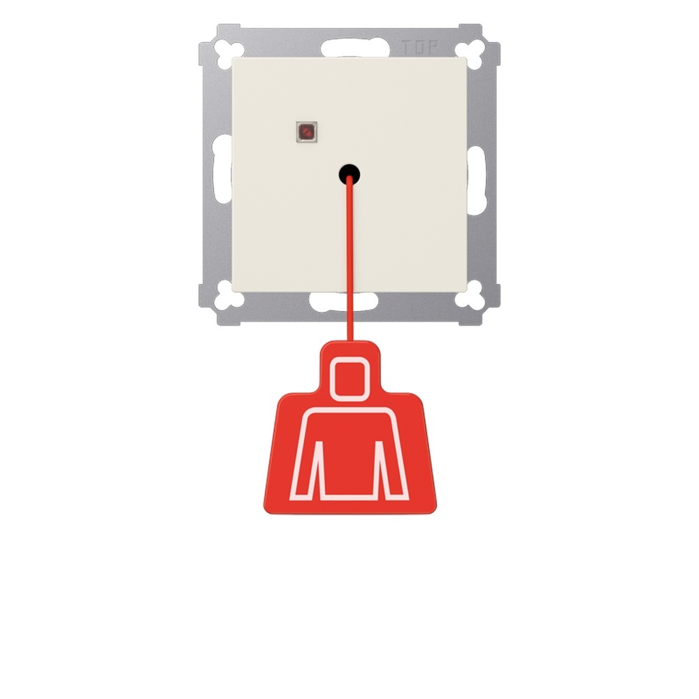 Jung Zugtaster NRS AS 0834 ZT