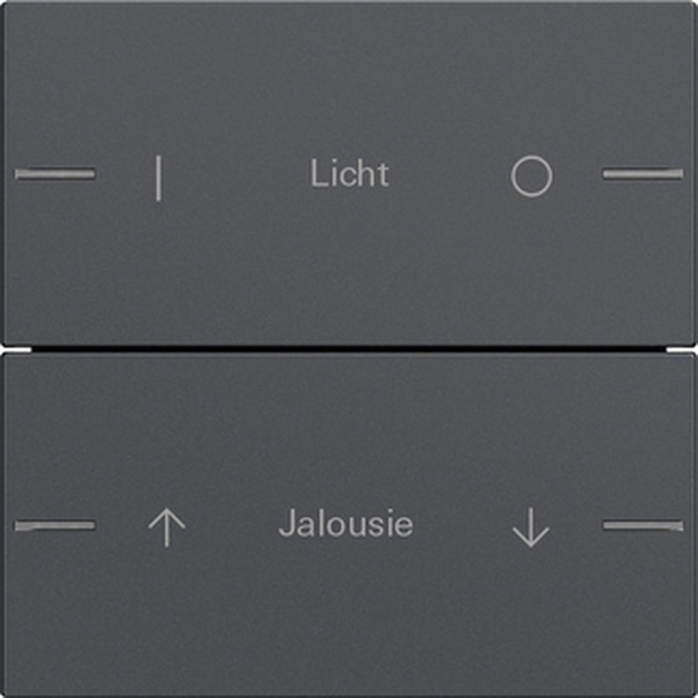 Gira Wippenset 2fach 576228