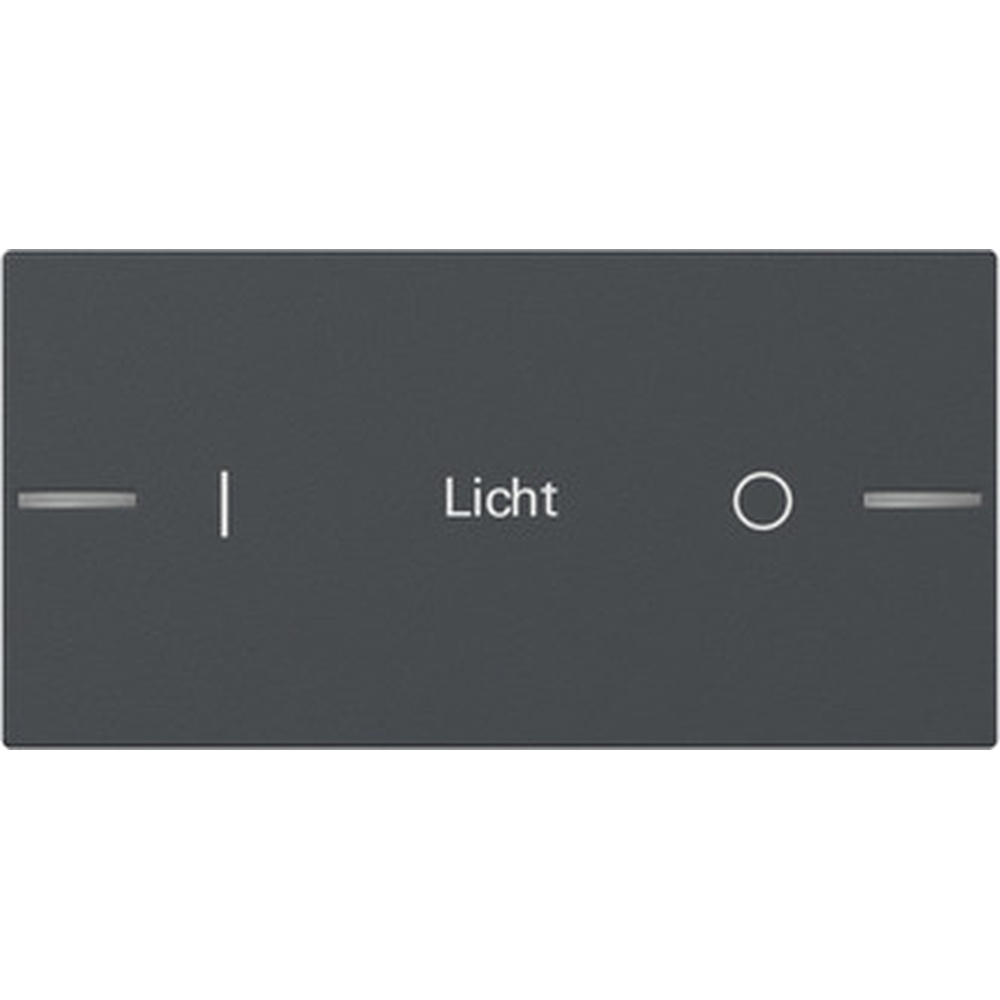 Gira Wippe für Wippenset 862228