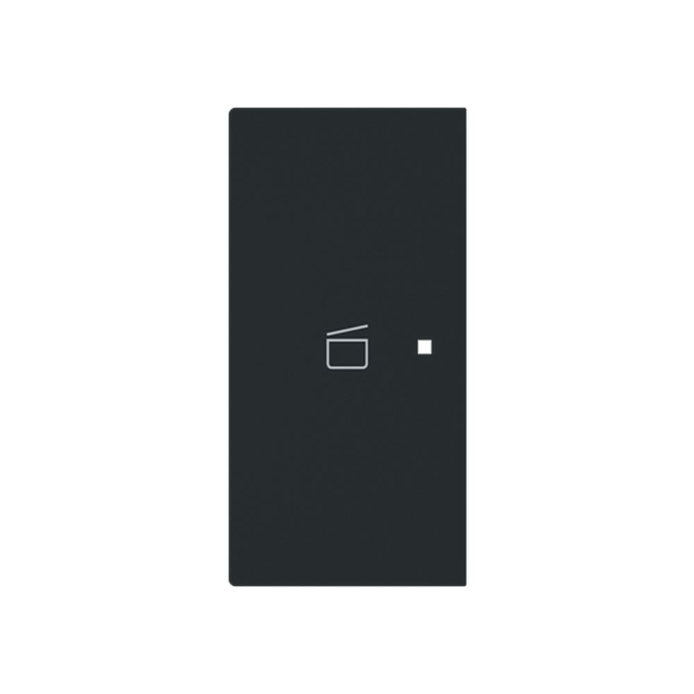 Busch-Jaeger Wippe 6233-21-45M Typ 2CKA006220A0971