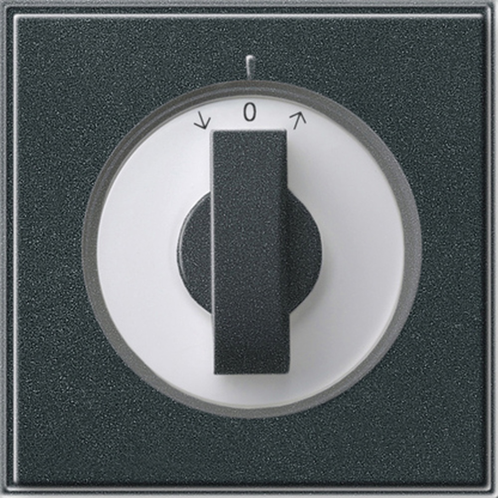 Gira Abdeckung Knebel 066667