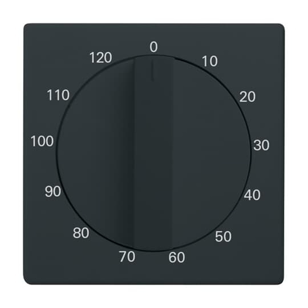 Busch-Jaeger Zentralscheibe 1771-81-103 Nr. 2CKA001753A0265