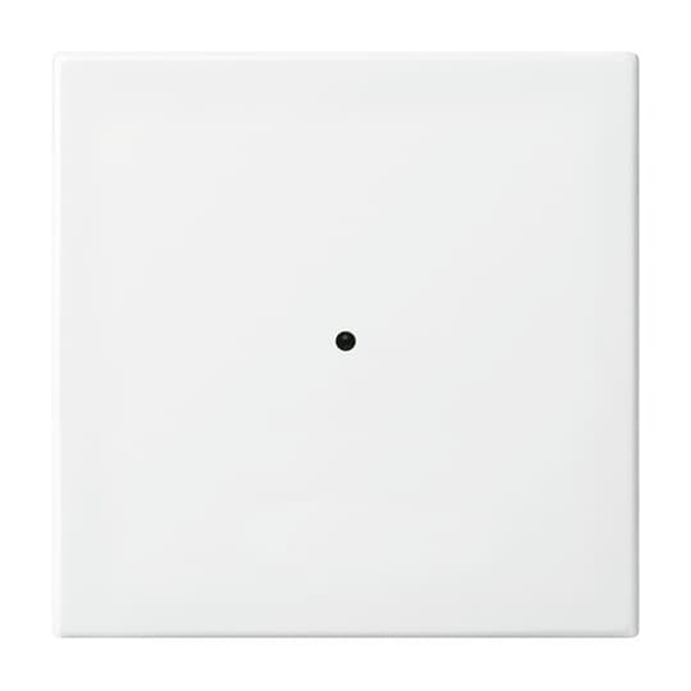 Busch-Jaeger Wandsender 6731-914 Nr. 2CKA006730A0092