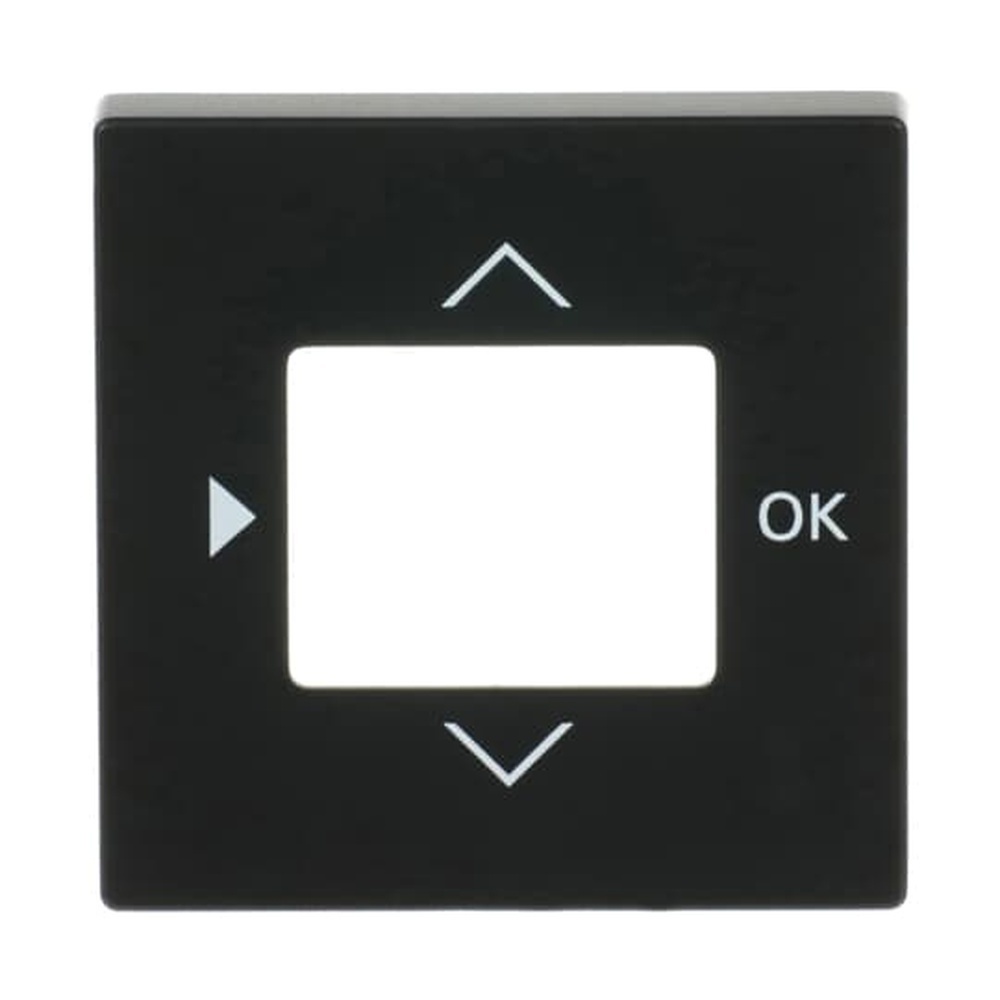 Busch-Jaeger Zentralscheibe 6435-885 Nr. 2CKA006430A0389