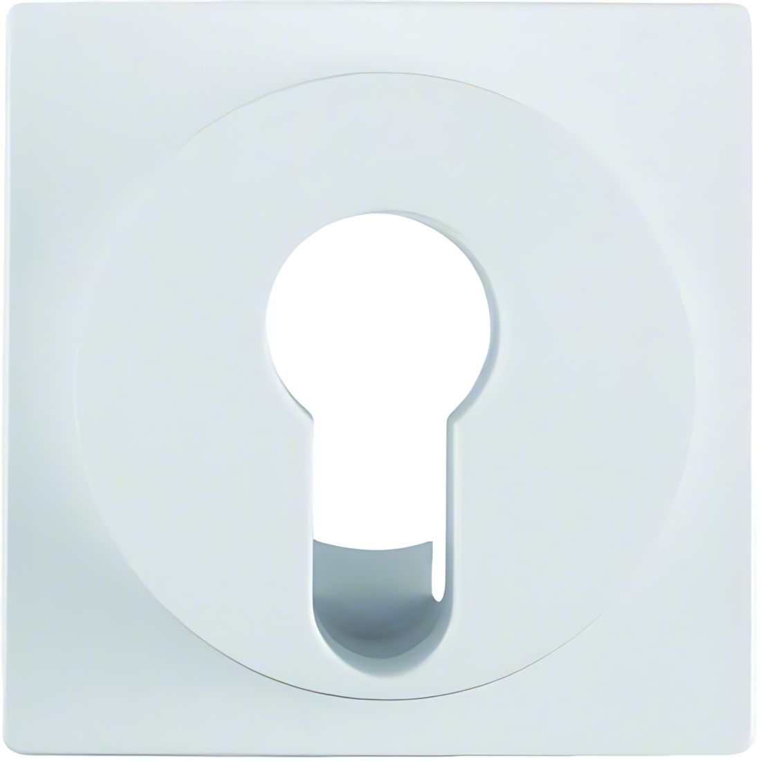 Berker Zentralstück 15071909