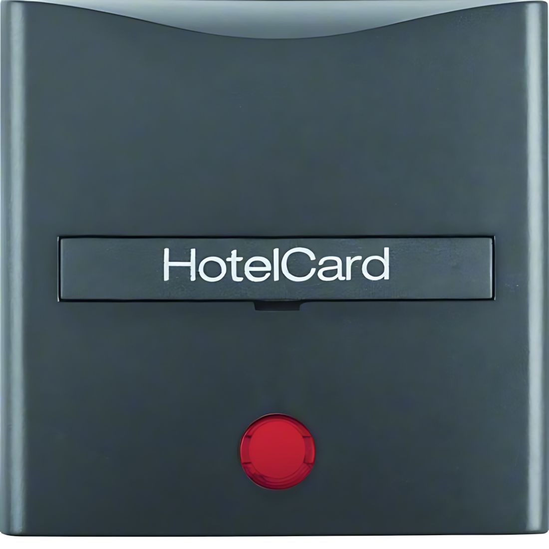 Berker Hotelcard Schaltaufsatz 16401606