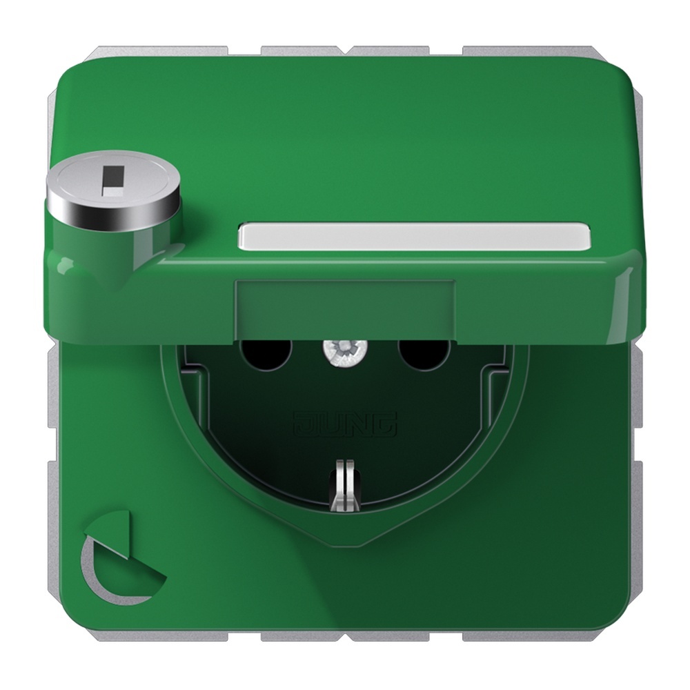 Jung Schutzkontakt Steckdose CD 1520 NAKLSL GN