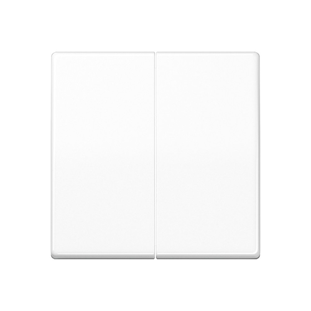 Jung Wippe AS 591-5 WW