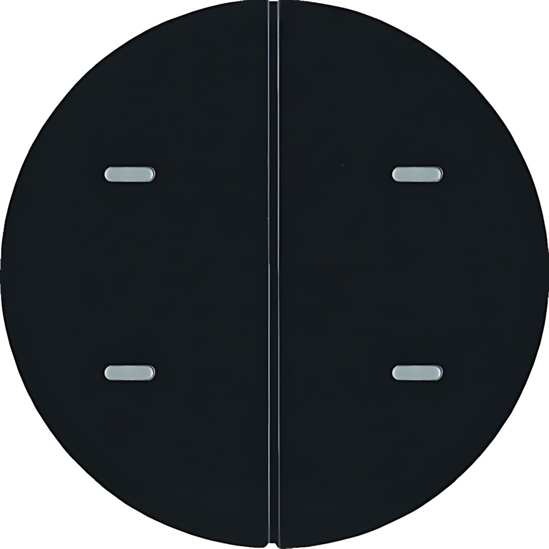 Berker Tastsensor 80162865