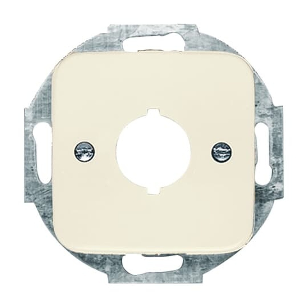 Busch-Jaeger Zentralscheibe 2534-212 Nr. 2CKA001724A0228