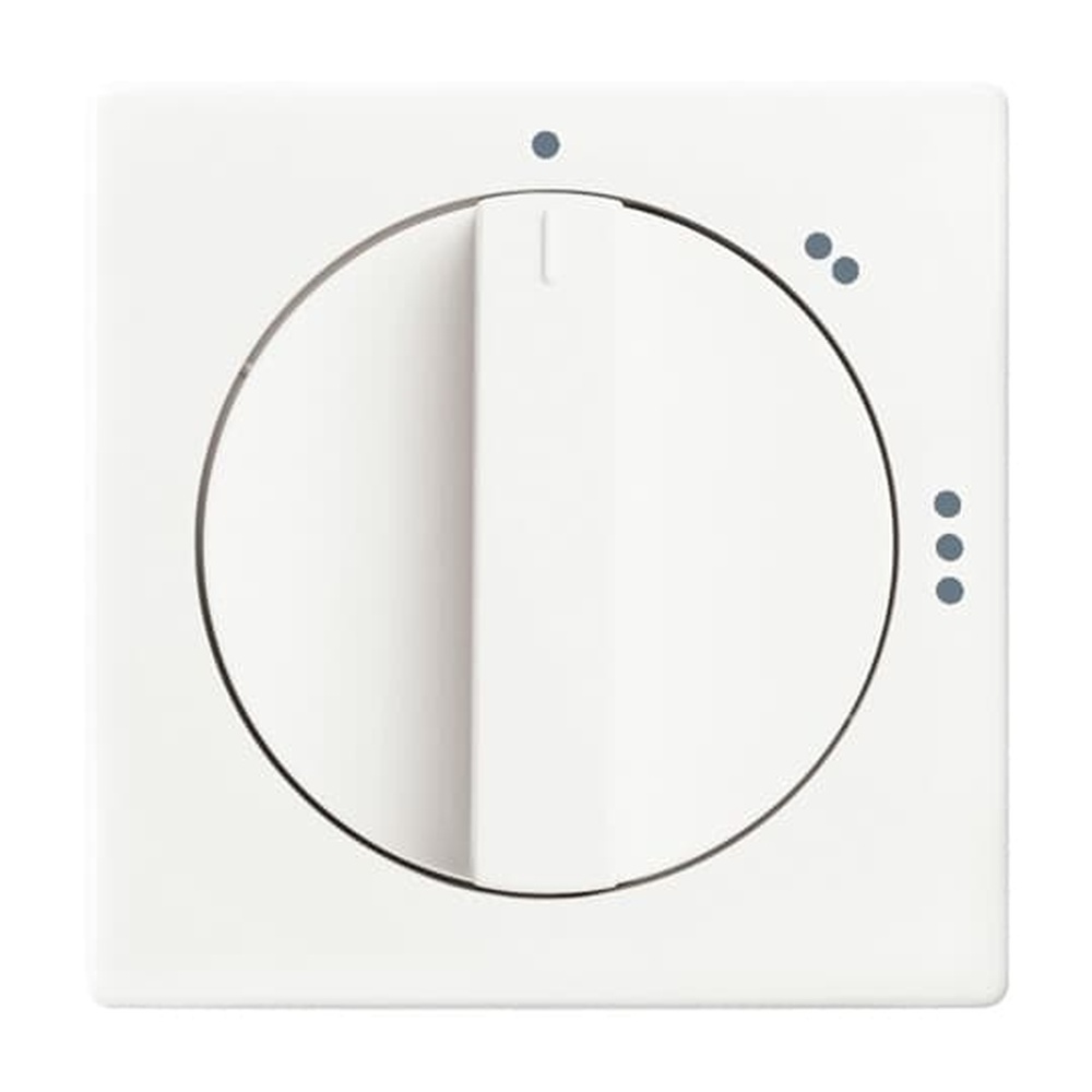 Busch-Jaeger Zentralscheibe 2542 DR/02-884 Nr. 2CKA001710A3891