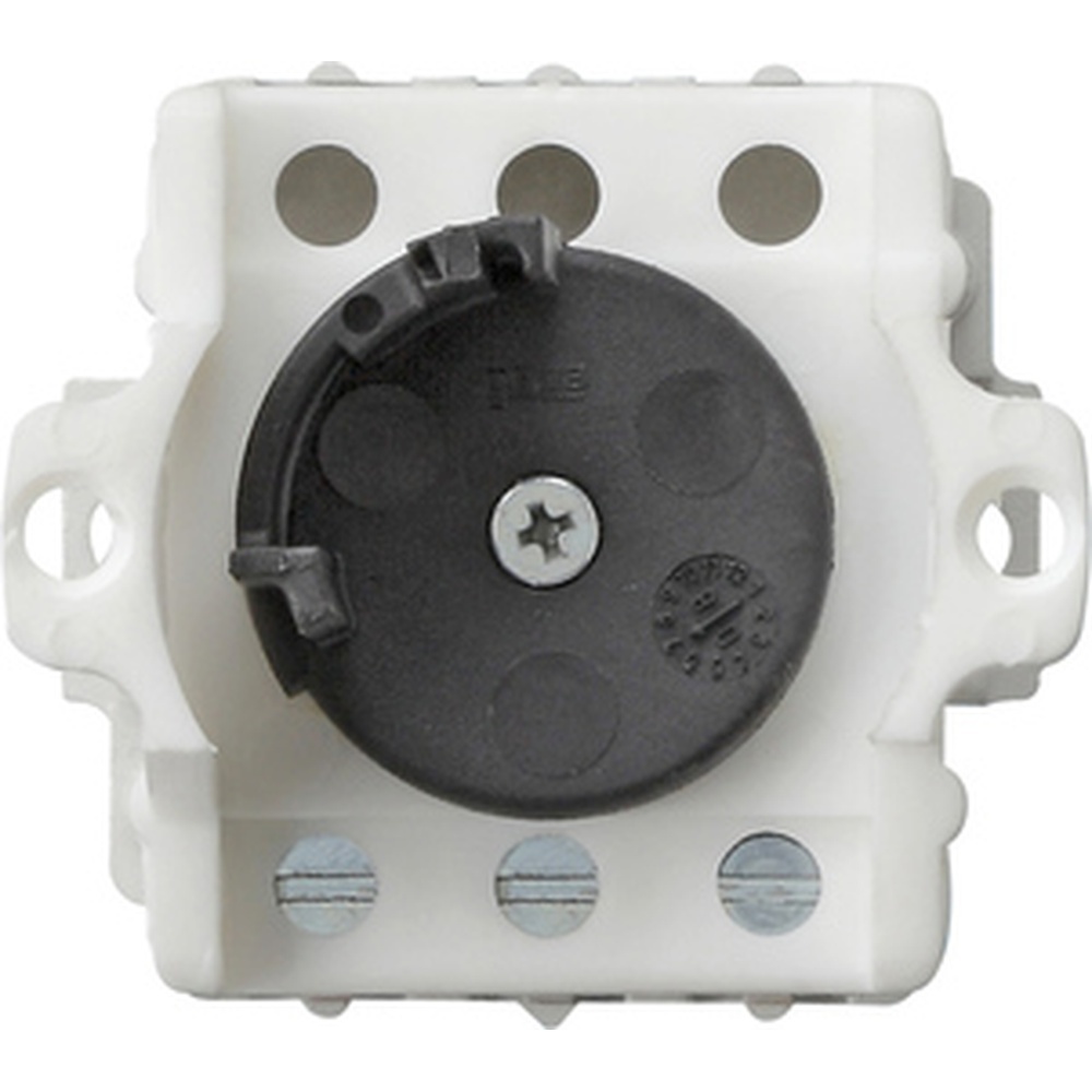 Gira Einsatz Schlüsseltast 143500