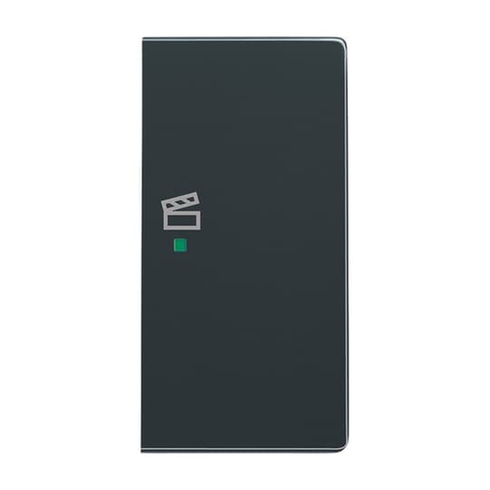 Busch-Jaeger Wippe 6233-22-81 Nr. 2CKA006220A0068