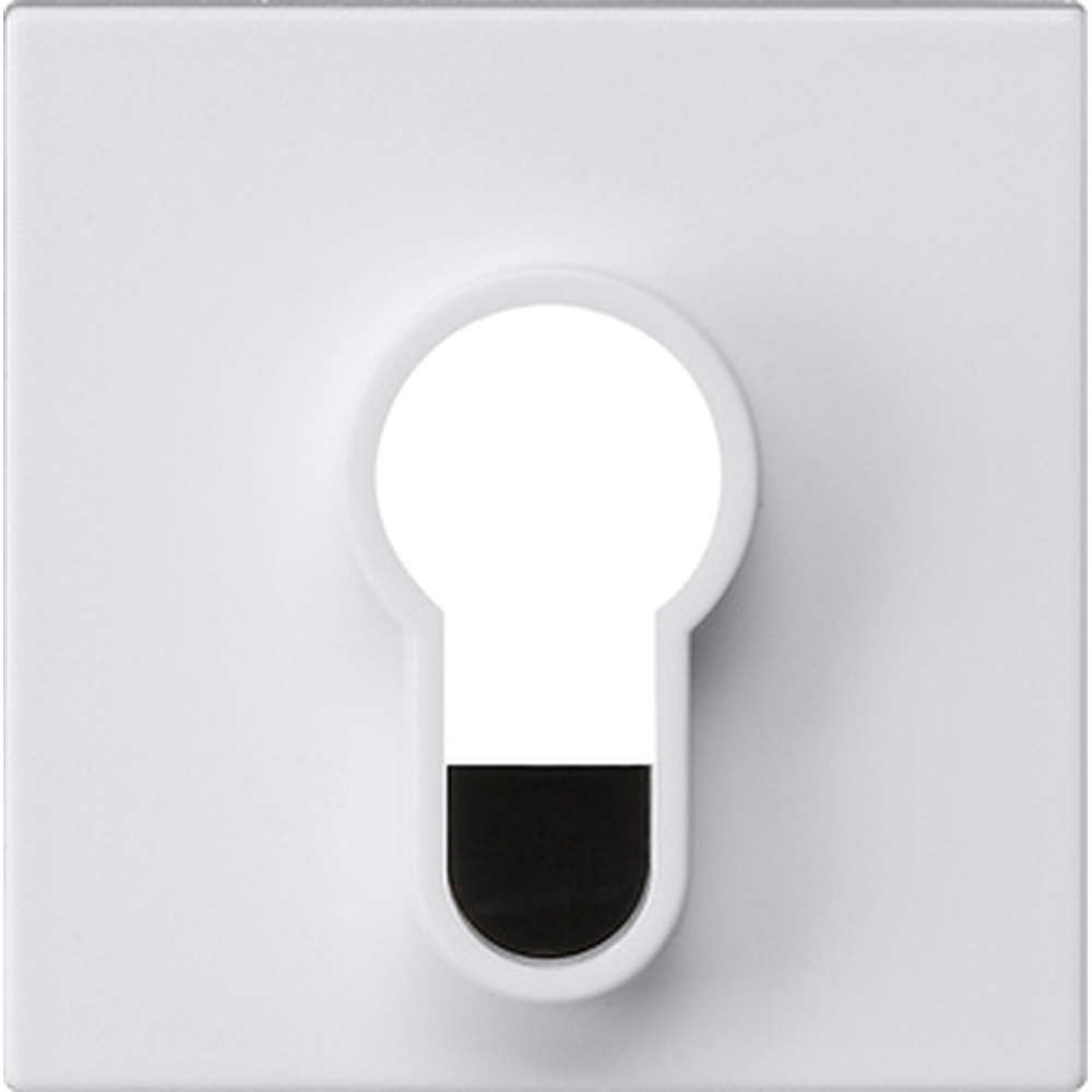 Gira Abdeckung Schlüsselschalter/-taster 866427