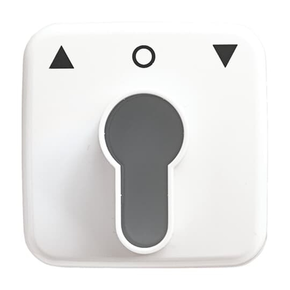 Busch-Jaeger Zentralscheibe 2557 PZ-214-101 Nr. 2CKA001710A1415