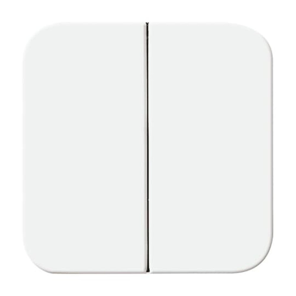 Busch-Jaeger Wippe 2545-214 Nr. 2CKA001434A0562