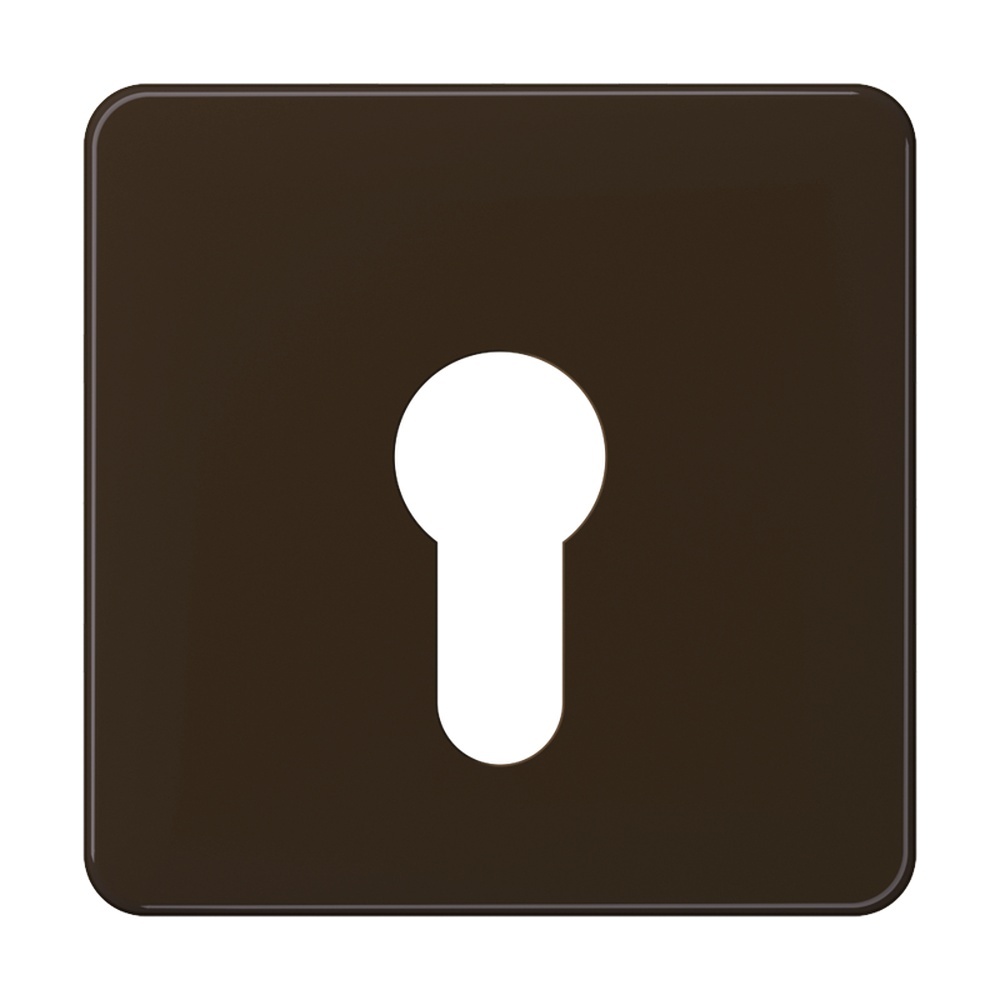 Jung Abdeckung Schlüsselschalter CD 525 BR