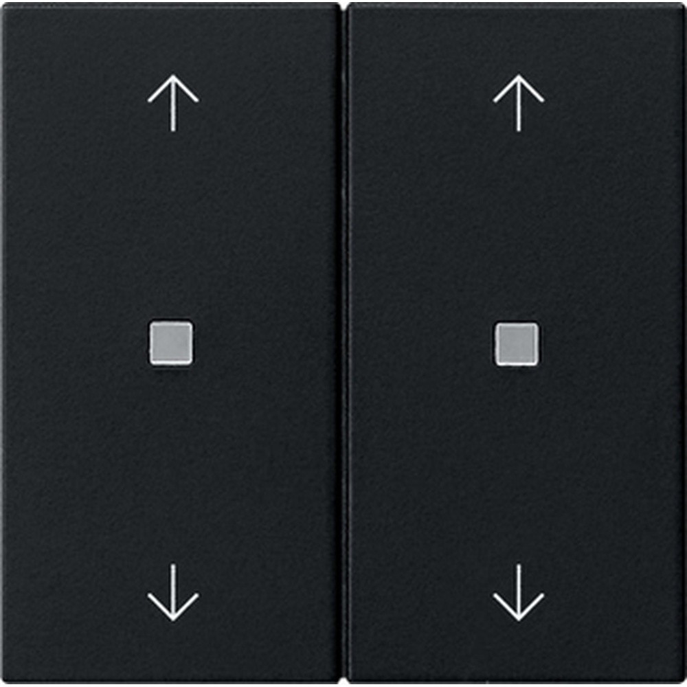 Gira Wippe 2fach 5386005