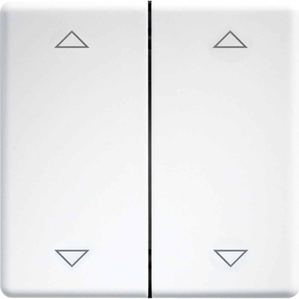 ELTAKO Doppelwippen 30000985 Typ DW-FT55-wg+2P