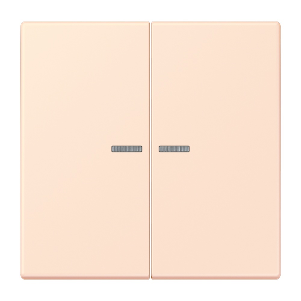 Jung Wippe mit Lichtleiter für Taster 2fach LC102KO5226