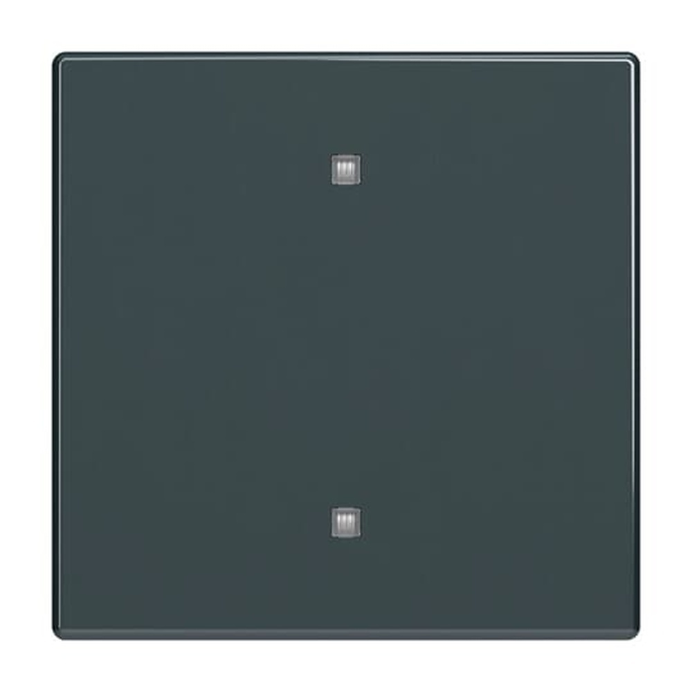 Busch-Jaeger Wippe Elektroniktaster 2570-10-81 Nr. 2CKA001751A3261