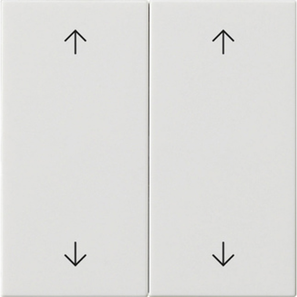 Gira Wippe 2fach 538703