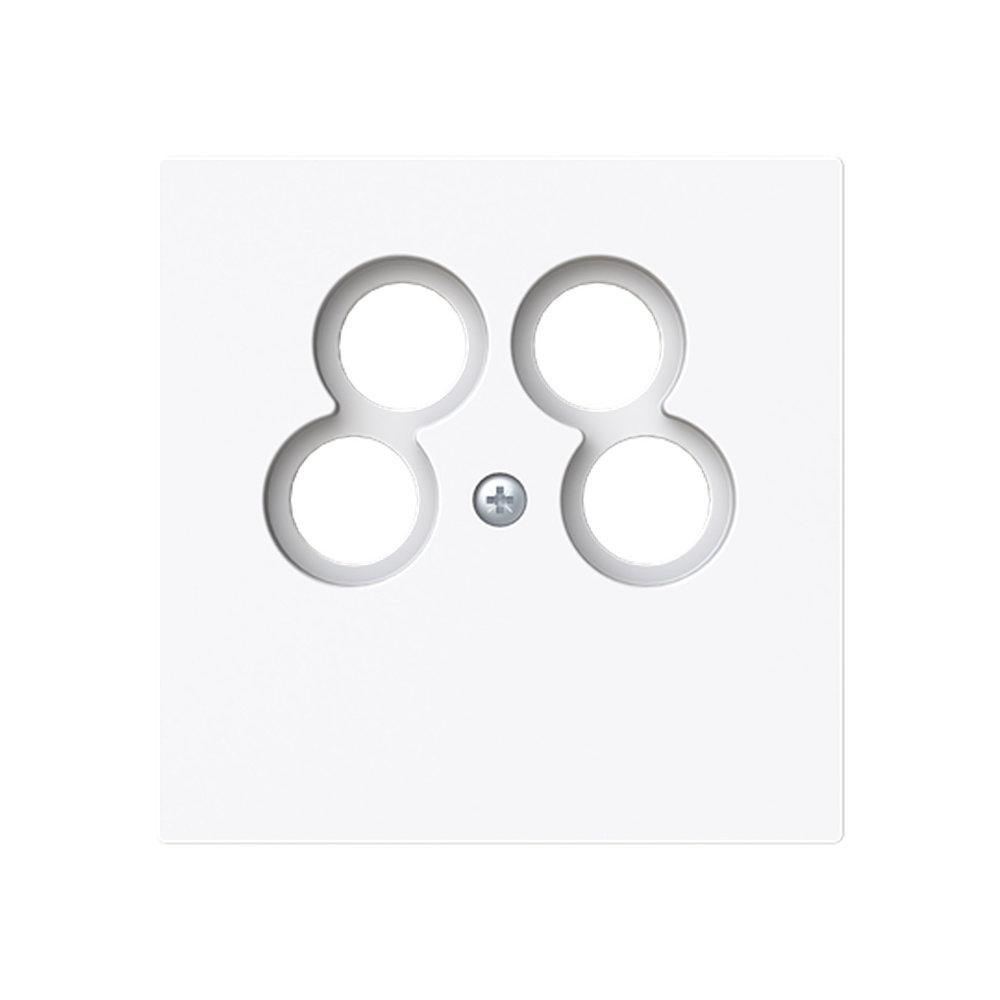 Busch-Jaeger Zentralscheibe 1743/10-04-44G Typ 2CKA001724A4440