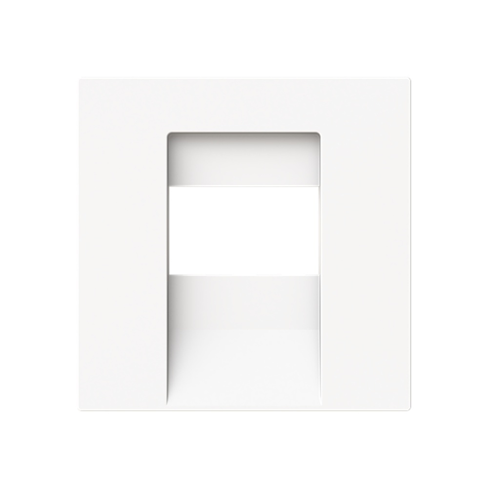 Busch-Jaeger Zentralscheibe 1766-44M Typ 2CKA001710A4163