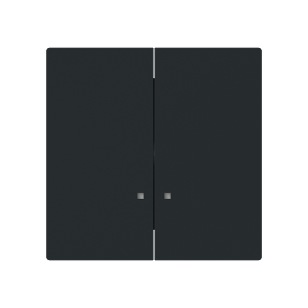 Busch-Jaeger Wippe 1785 K-45M Typ 2CKA001751A3308