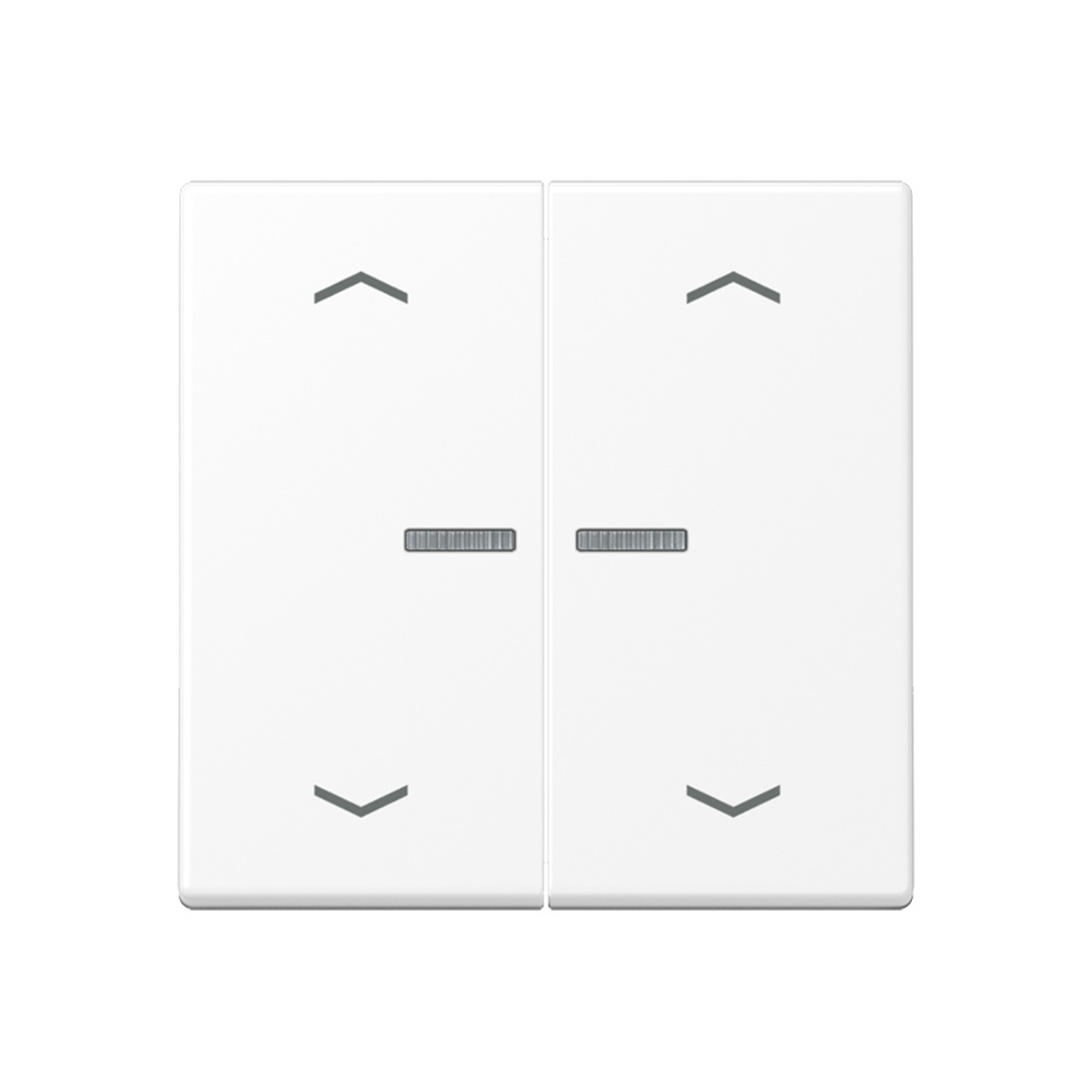 Jung Wippe m. Lichtleiter A102KO5PBFWWM