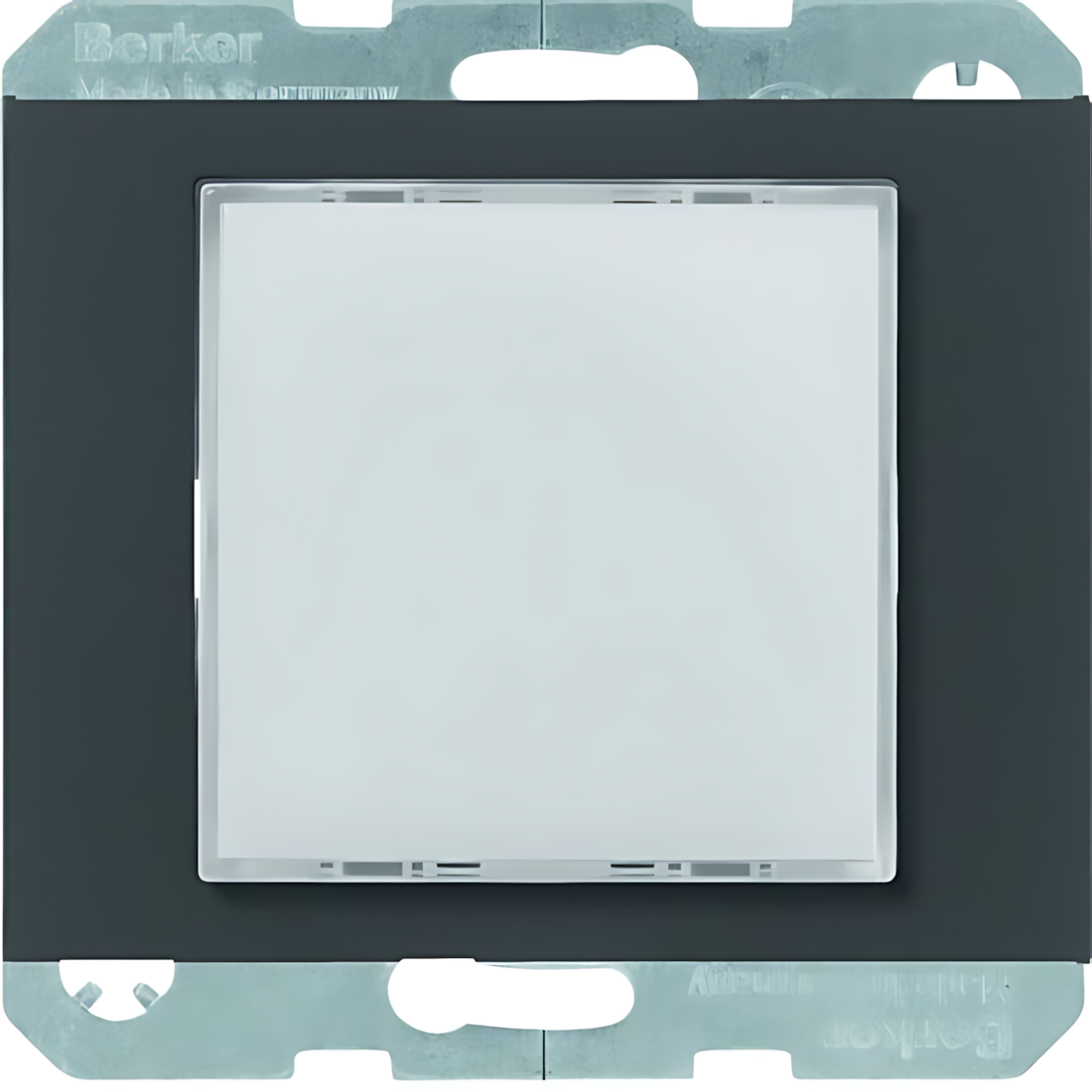 Berker Signallicht 29517006