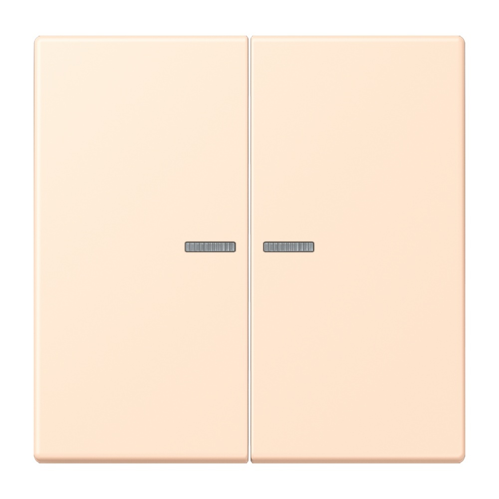 Jung Wippe mit Lichtleiter für Taster 2fach LC102KO5238