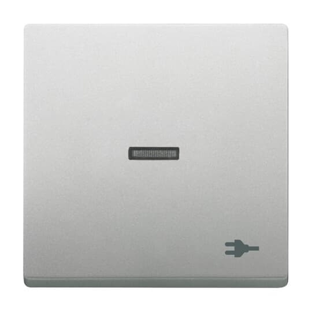 Busch-Jaeger Wippe 1789 ST-866 Nr. 2CKA001751A3162