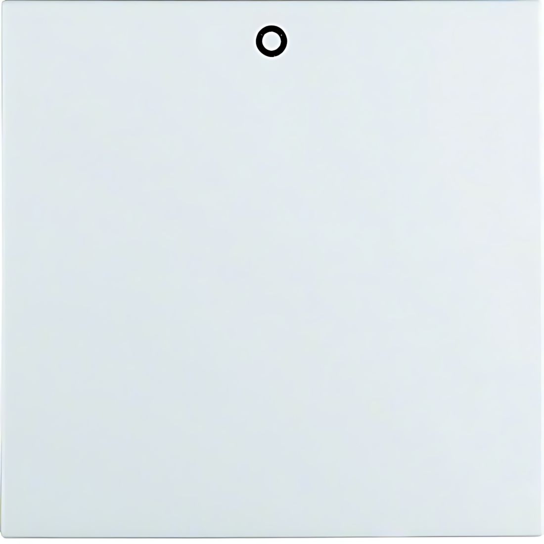 Berker Wippe 16221909