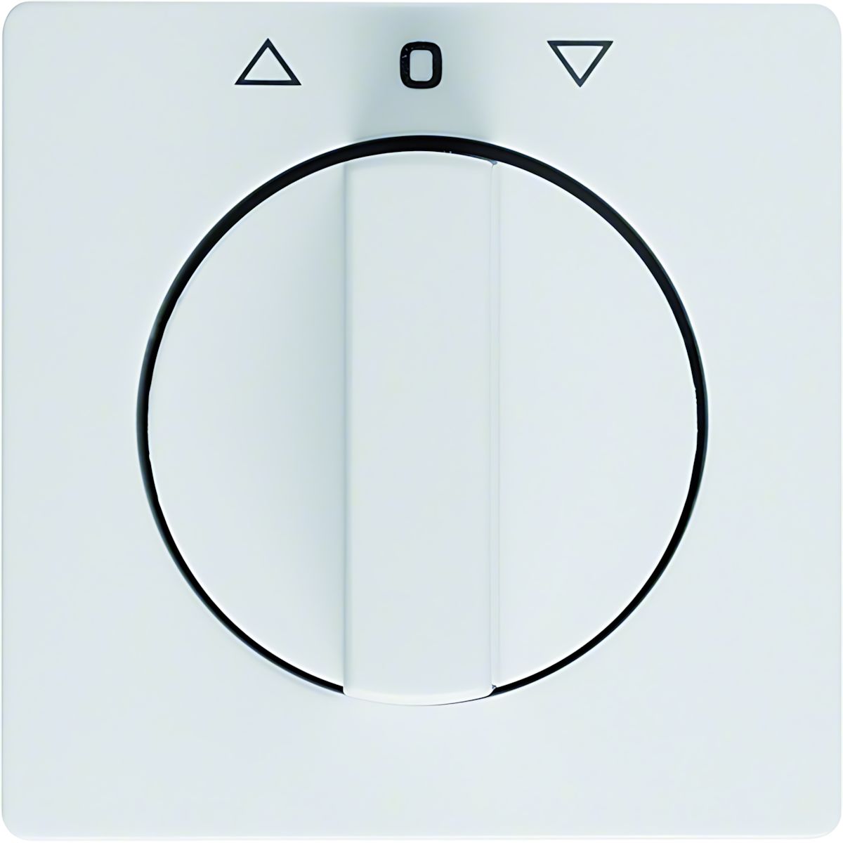 Berker Zentralstück m. Drehknopf 1080608900