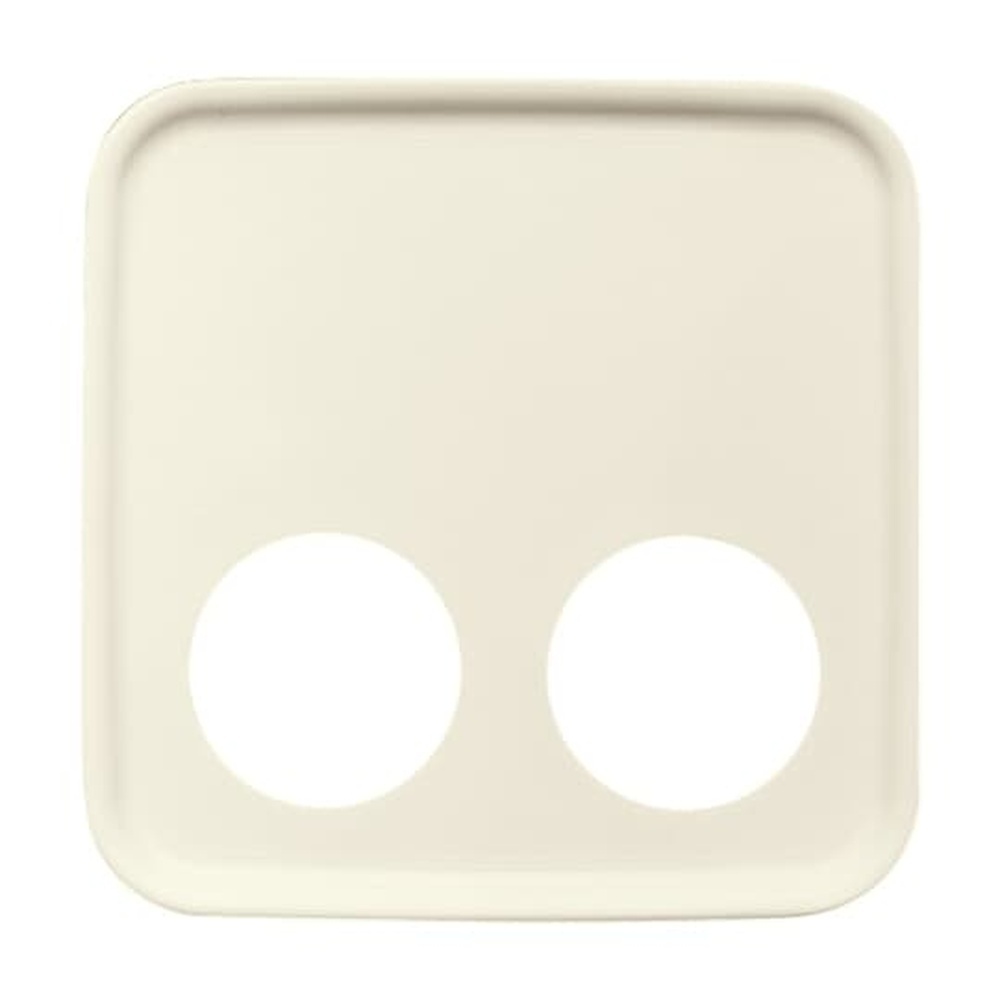 Busch-Jaeger Zentralscheibe 2548-020 D-212 Nr. 2CKA001724A2698